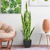 35.5-Inch Artificial Snake Plant – Realistic Faux Indoor & Outdoor Decorative Plant for Home, Office & Patio Décor
