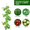 7FT Hollow T-Profile Garden Climbing Trellis – Durable Plant Support for Vines, Flowers & Vegetables (Modern Outdoor Decoration)