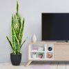 35.5-Inch Artificial Snake Plant – Realistic Faux Indoor & Outdoor Decorative Plant for Home, Office & Patio Décor