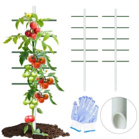 4ft*1.64ft 2PC  White Round Tube Climbing Trellis, Stylish, Simple, Durable, And Creates A Beautiful Space Filled With Greenery.