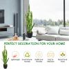 35.5-Inch Artificial Snake Plant – Realistic Faux Indoor & Outdoor Decorative Plant for Home, Office & Patio Décor