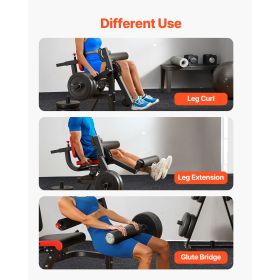 Leg Extension and Curl Machine,