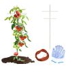 7FT Hollow T-Shaped Garden Climbing Trellis – High-Strength Plant Support for Vines, Flowers & Green Living Walls (1PC)