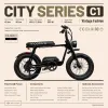 Vintage Fashion All-Road Fat Tire Electric Bike C1